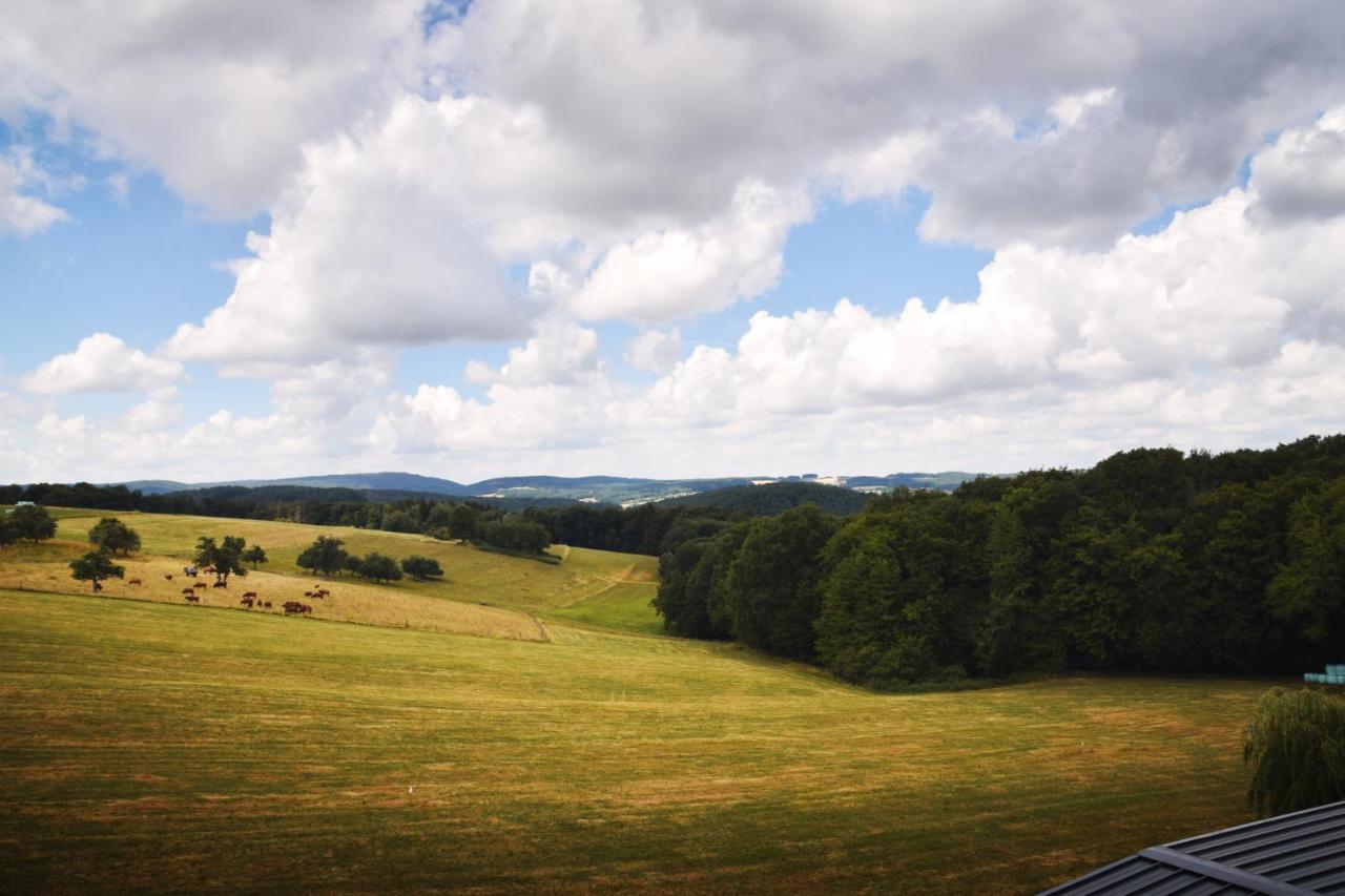 Landhotel Zur Post Bad König Exteriér fotografie